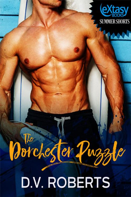 Cover of the book The Dorchester Puzzle by D.V. Roberts, eXtasy Books Inc