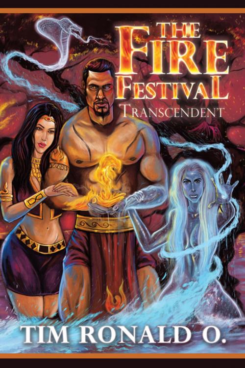 Cover of the book The Fire Festival by Tim Ronald O., iUniverse