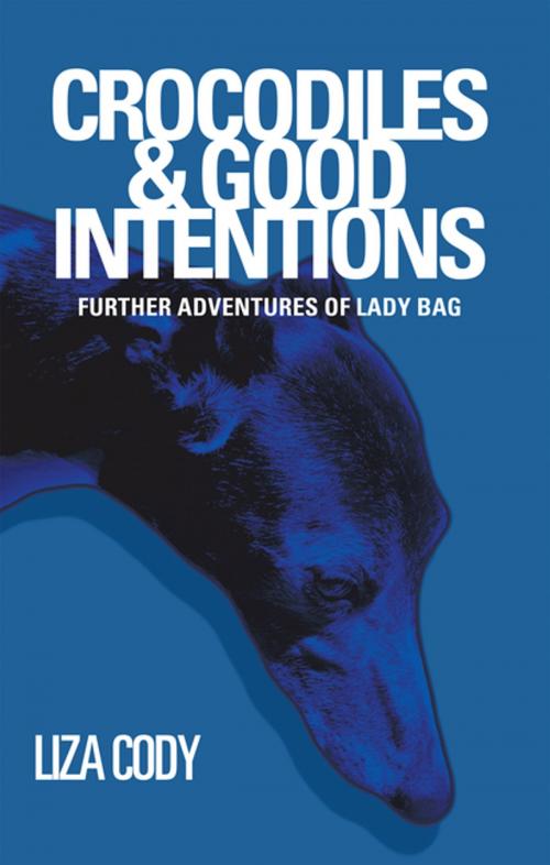 Cover of the book Crocodiles & Good Intentions by Liza Cody, iUniverse