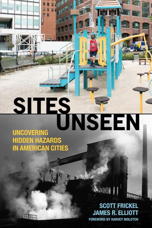 Cover of the book Sites Unseen by Scott Frickel, James R. Elliott, Russell Sage Foundation