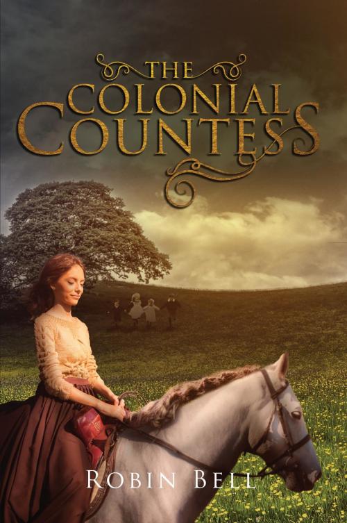 Cover of the book The Colonial Countess by Robin Bell, Stratton Press