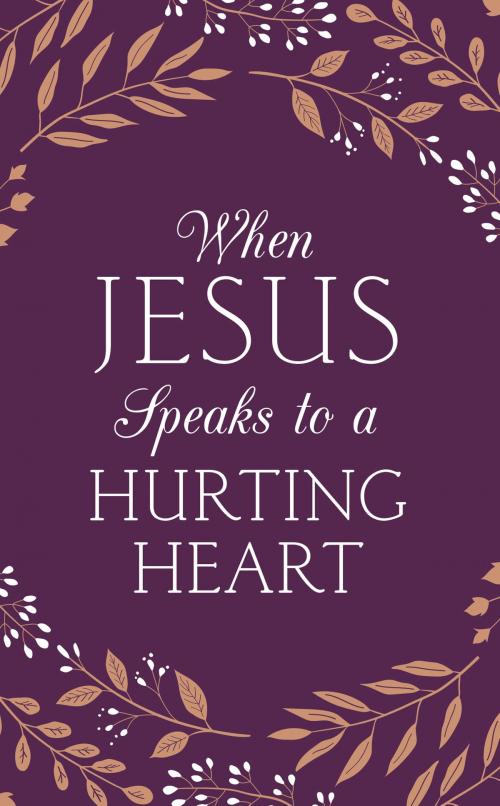 Cover of the book When Jesus Speaks to a Hurting Heart by Emily Biggers, Barbour Publishing, Inc.