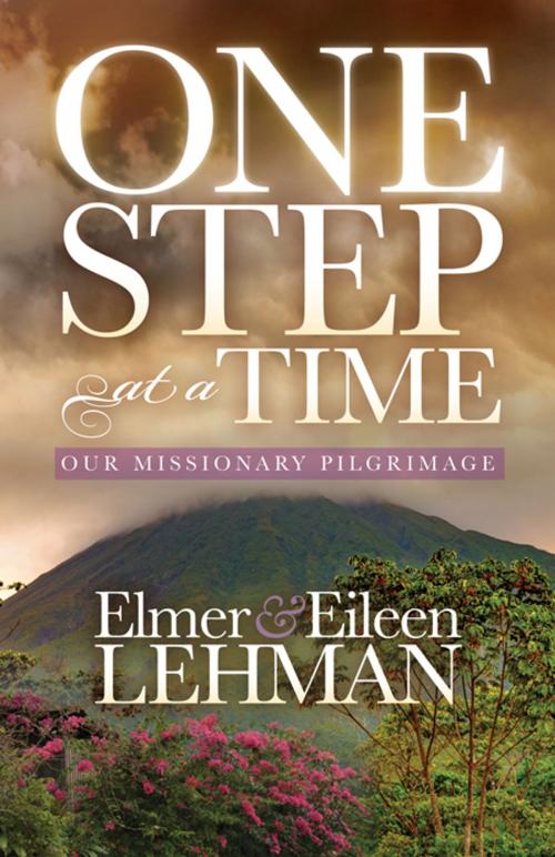 Cover of the book One Step at a Time by Elmer & Eileen Lehman, Morgan James Publishing