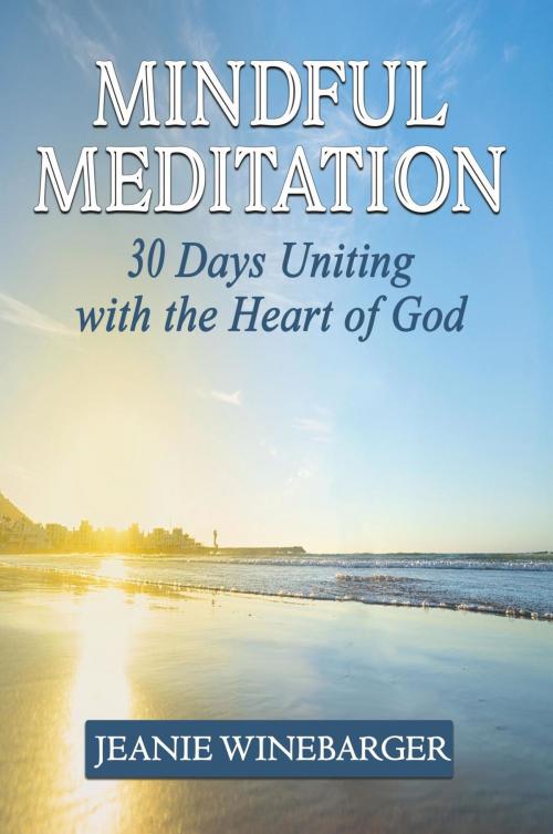 Cover of the book Mindful Meditation by Jeanie Winebarger, Worldwide Publishing Group