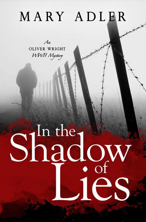 Cover of the book In the Shadow of Lies by Mary Adler, Dancing Dog Books