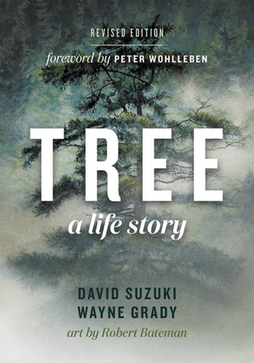 Cover of the book Tree by David Suzuki, Wayne Grady, Greystone Books