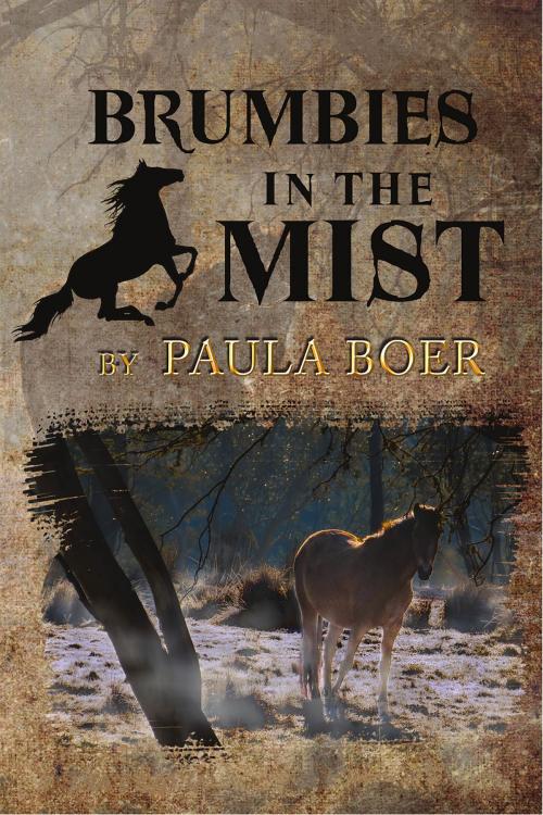 Cover of the book Brumbies in the Mist by Paula Boer, IFWG Publishing International