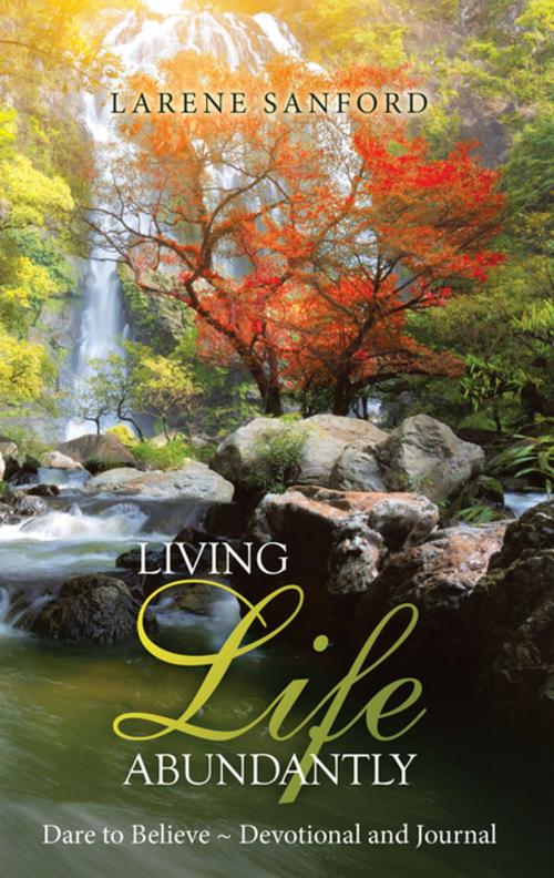 Cover of the book Living Life Abundantly by Larene Sanford, WestBow Press