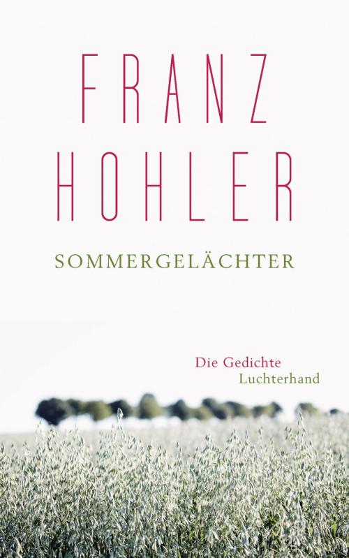 Cover of the book Sommergelächter by Franz Hohler, Luchterhand Literaturverlag