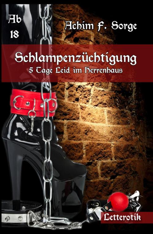 Cover of the book Schlampenzüchtigung: 5 Tage Leid im Herrenhaus by Achim F. Sorge, neobooks
