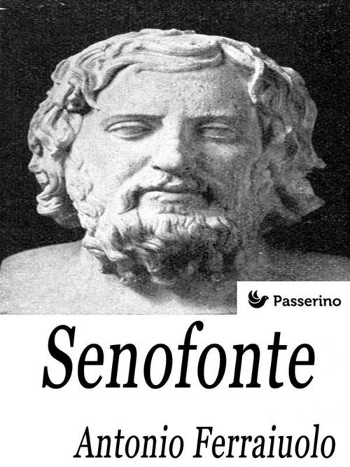 Cover of the book Senofonte by Antonio Ferraiuolo, Passerino