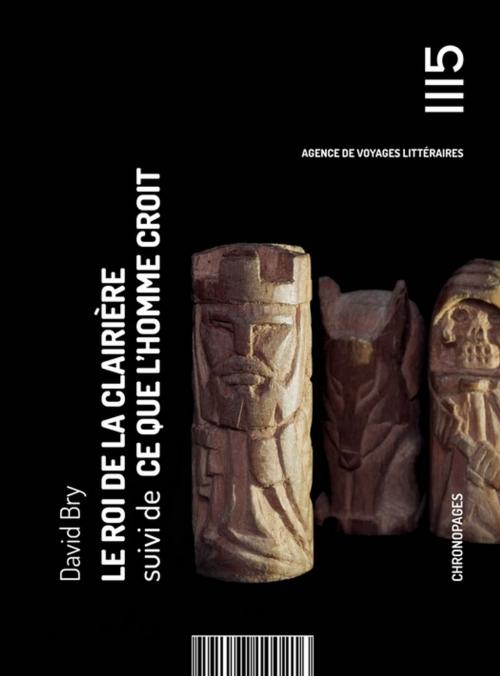 Cover of the book Le roi de la clairière by David Bry, Les Éditions Mille Cent Quinze