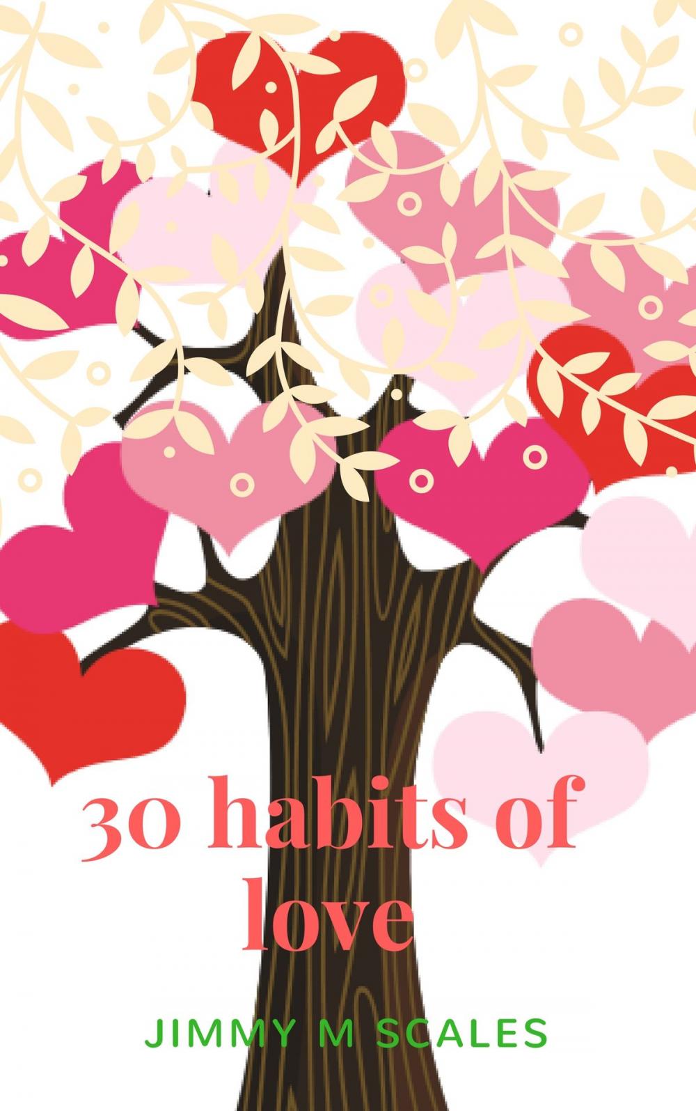Big bigCover of 30 habits of love