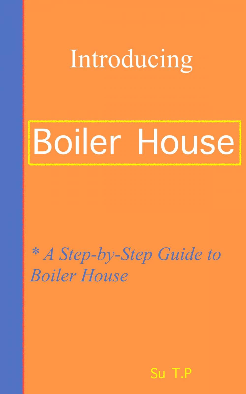 Big bigCover of Introducing Boiler House