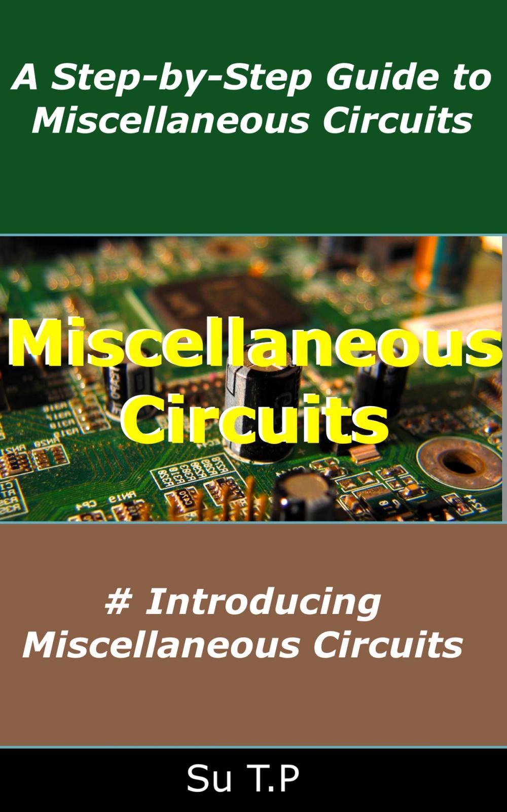 Big bigCover of Miscellaneous Circuits