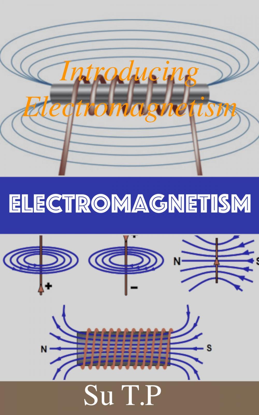 Big bigCover of Electromagnetism