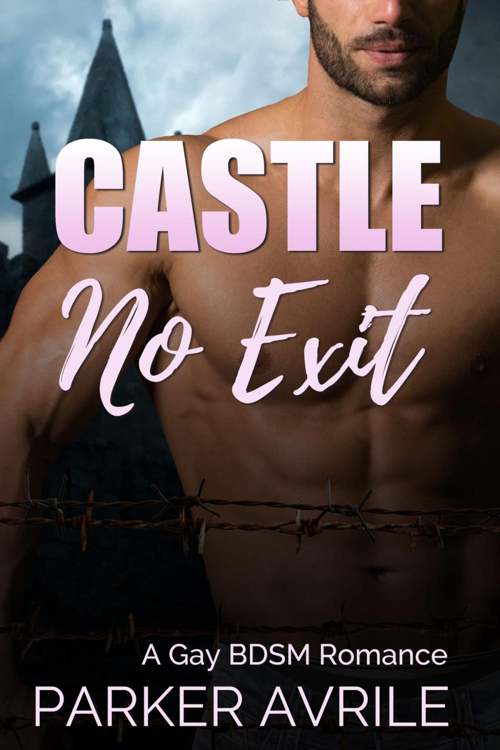 Big bigCover of Castle No Exit