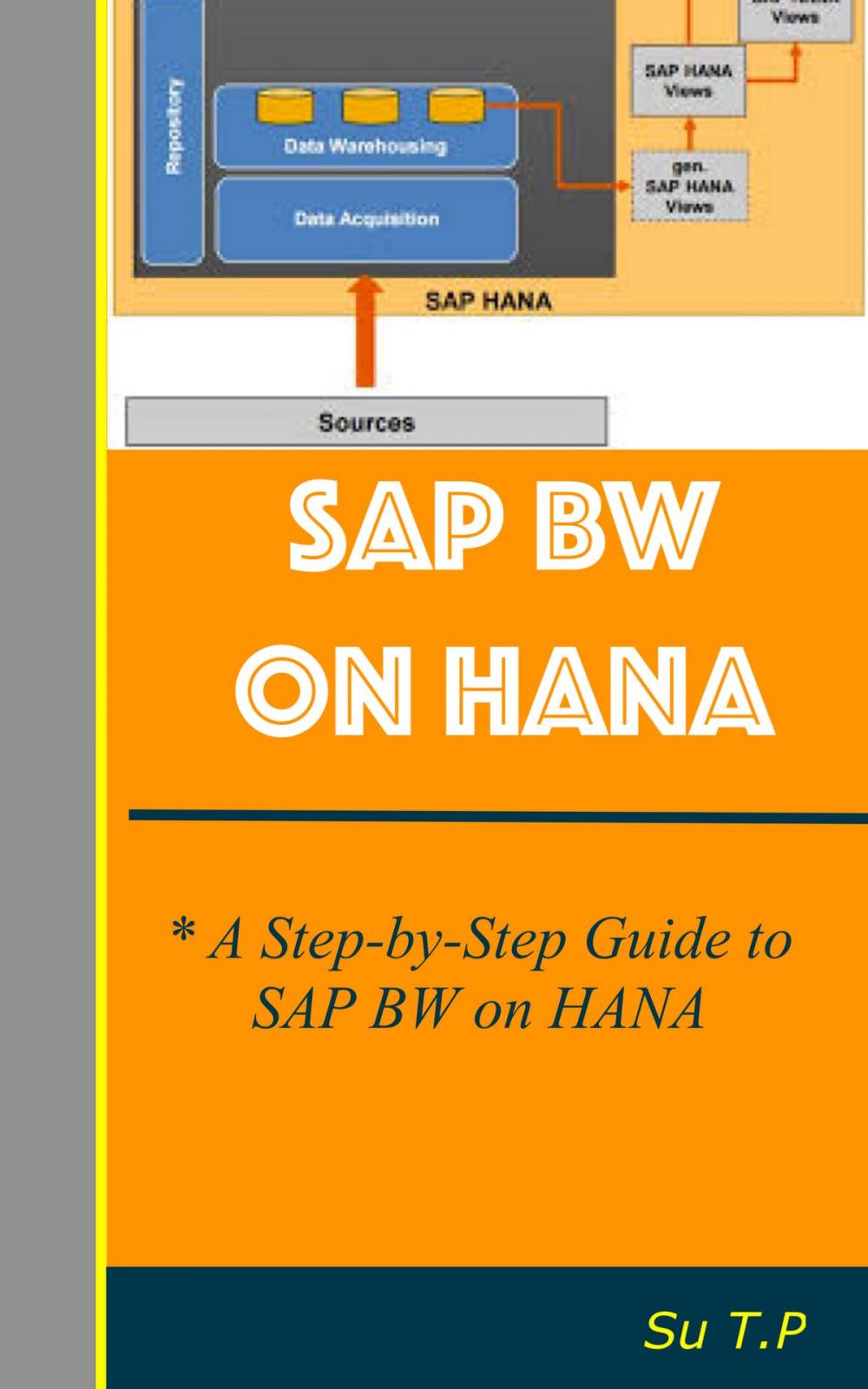 Big bigCover of SAP BW on HANA