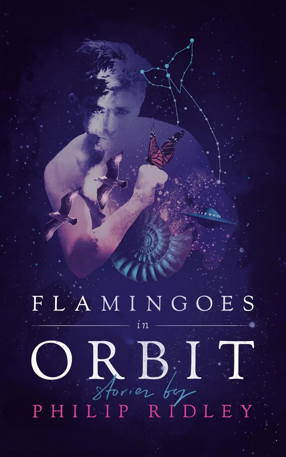 Big bigCover of Flamingoes in Orbit