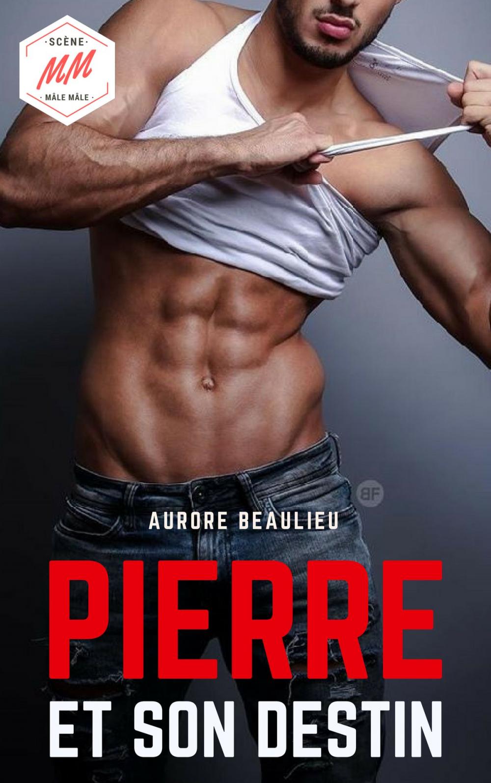 Big bigCover of Pierre et son destin