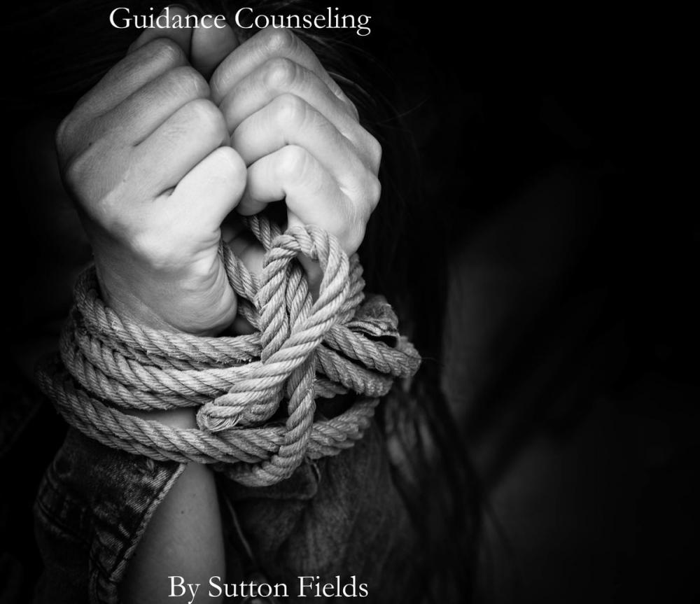 Big bigCover of Guidance Counseling