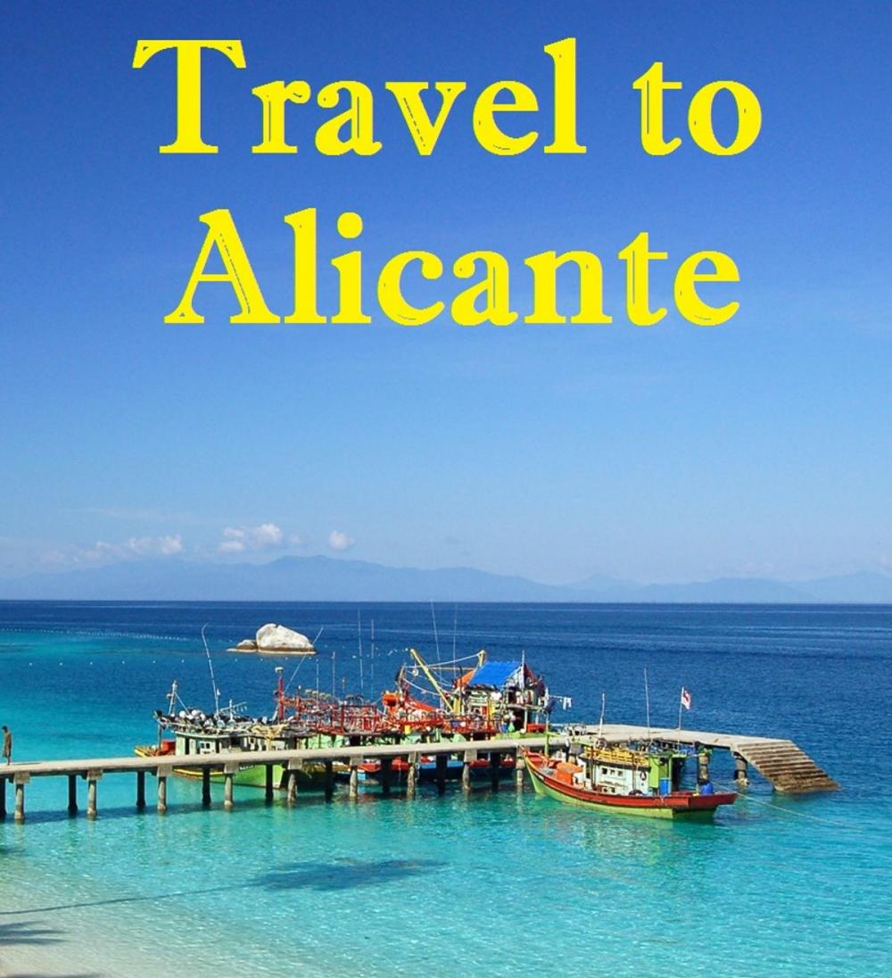 Big bigCover of Travel to Alicante