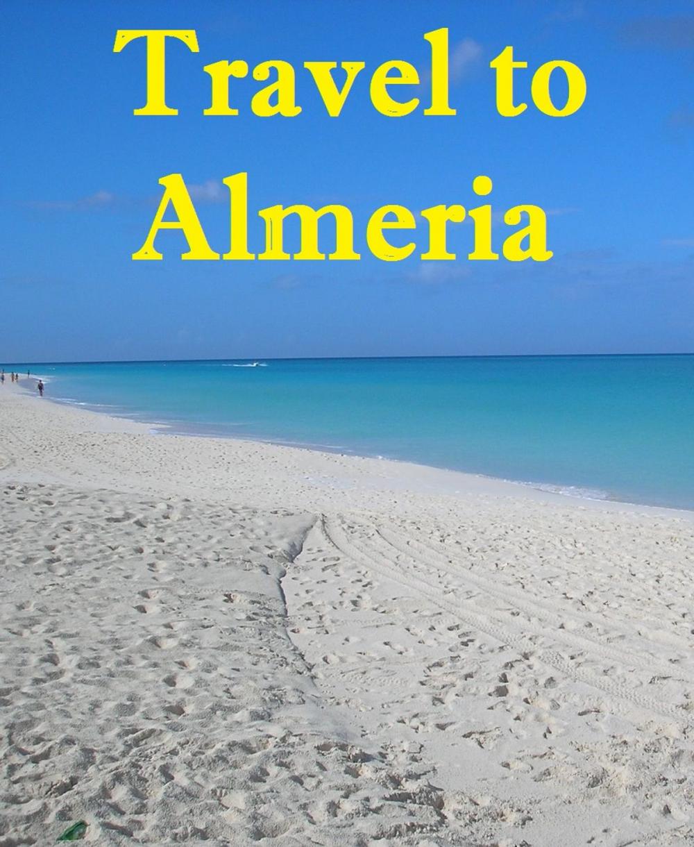 Big bigCover of Travel to Almeria