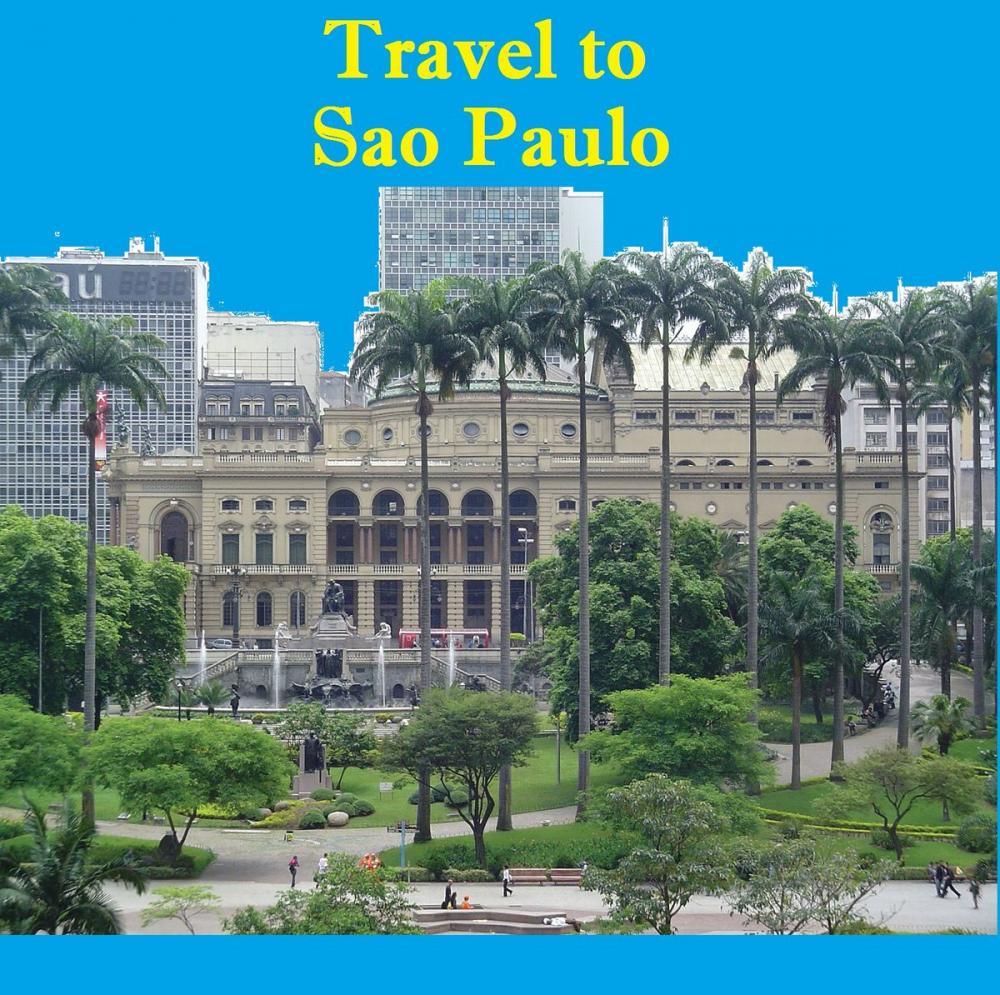 Big bigCover of Travel to Sao Paulo