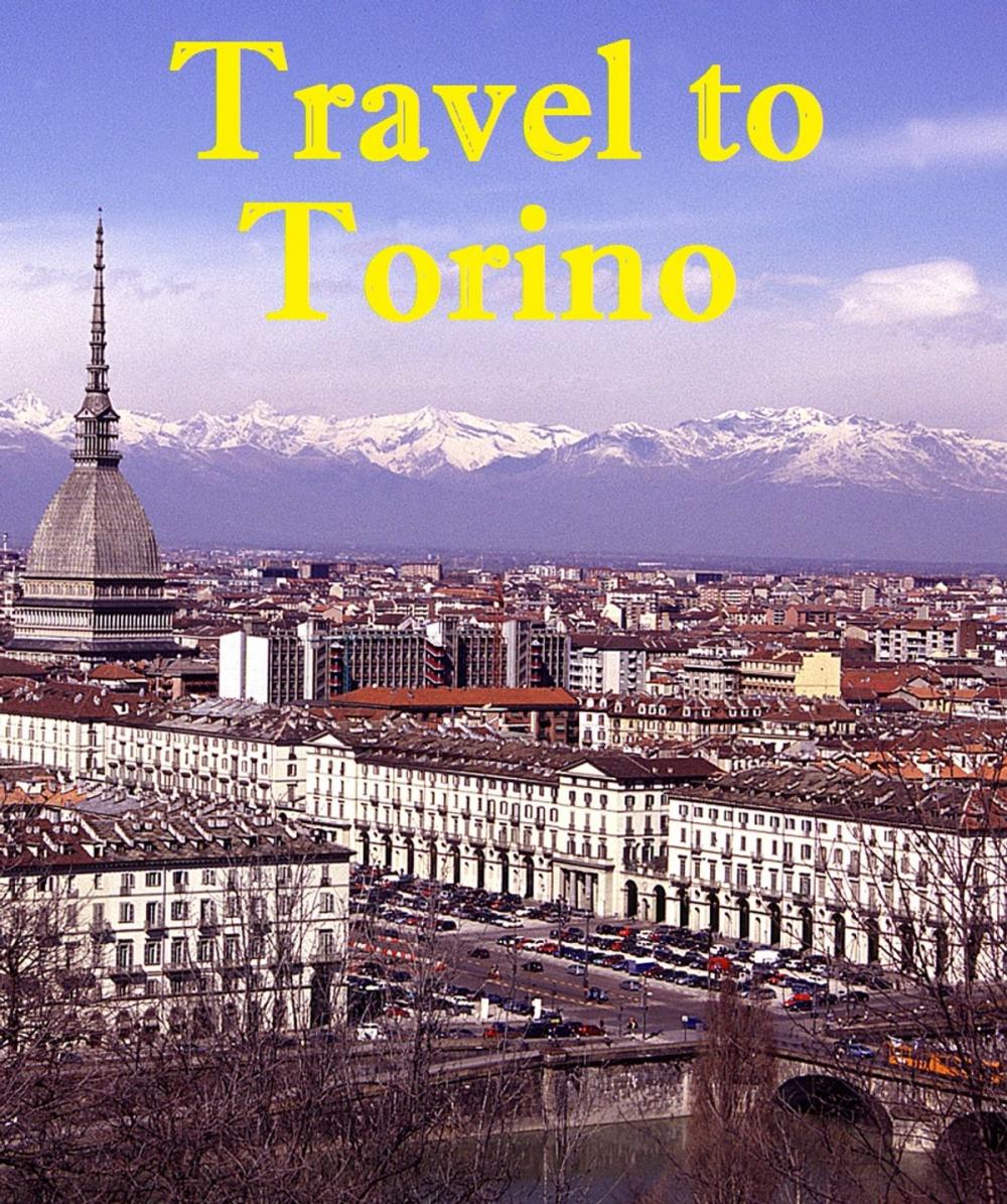 Big bigCover of Travel to Torino