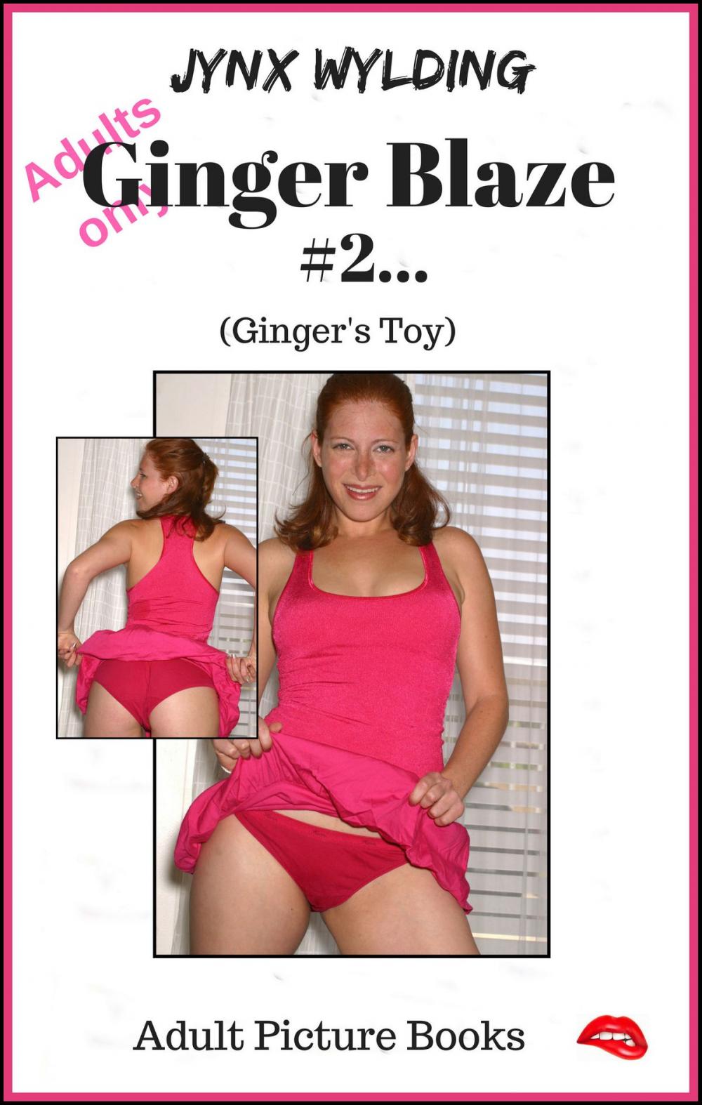 Big bigCover of Ginger Blaze Gingers Toy