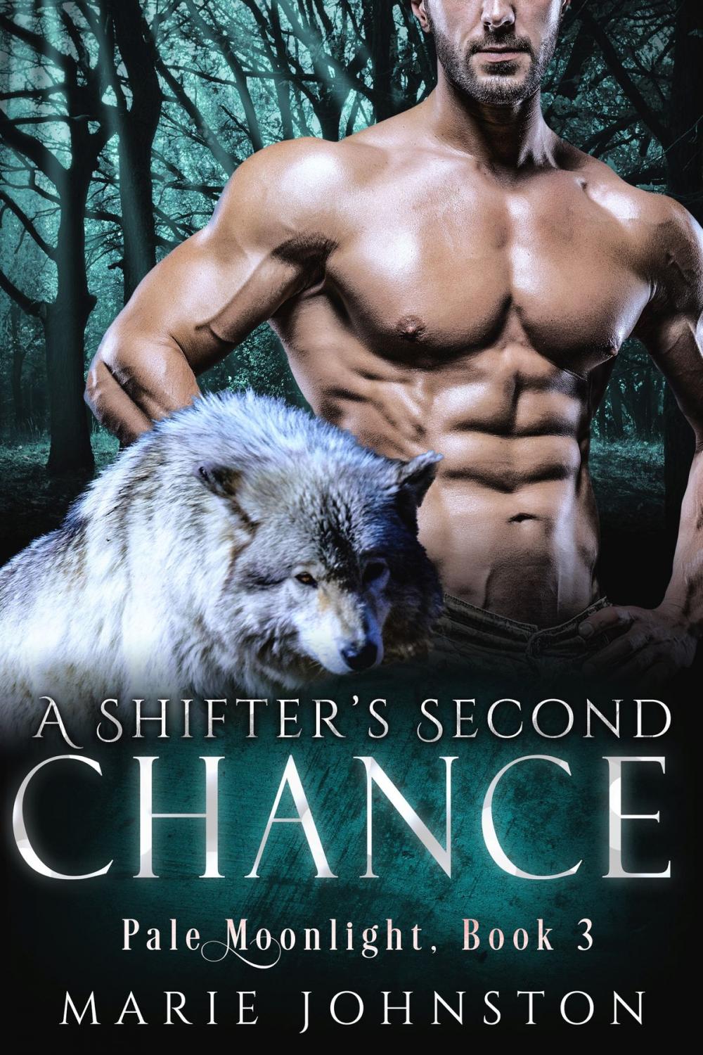 Big bigCover of A Shifter's Second Chance