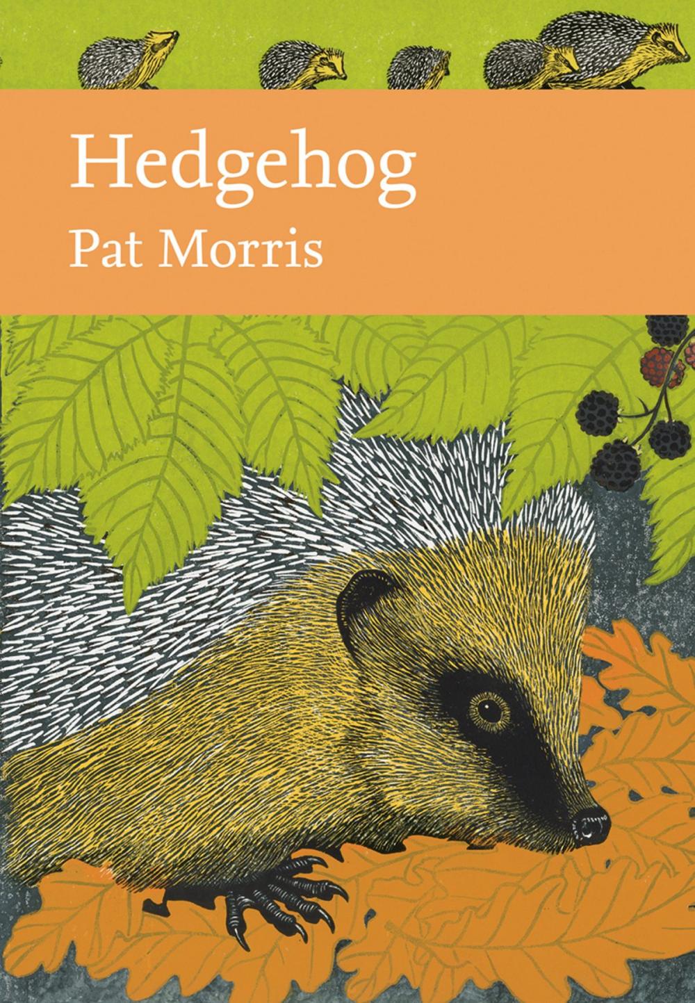 Big bigCover of Hedgehog (Collins New Naturalist Library, Book 137)