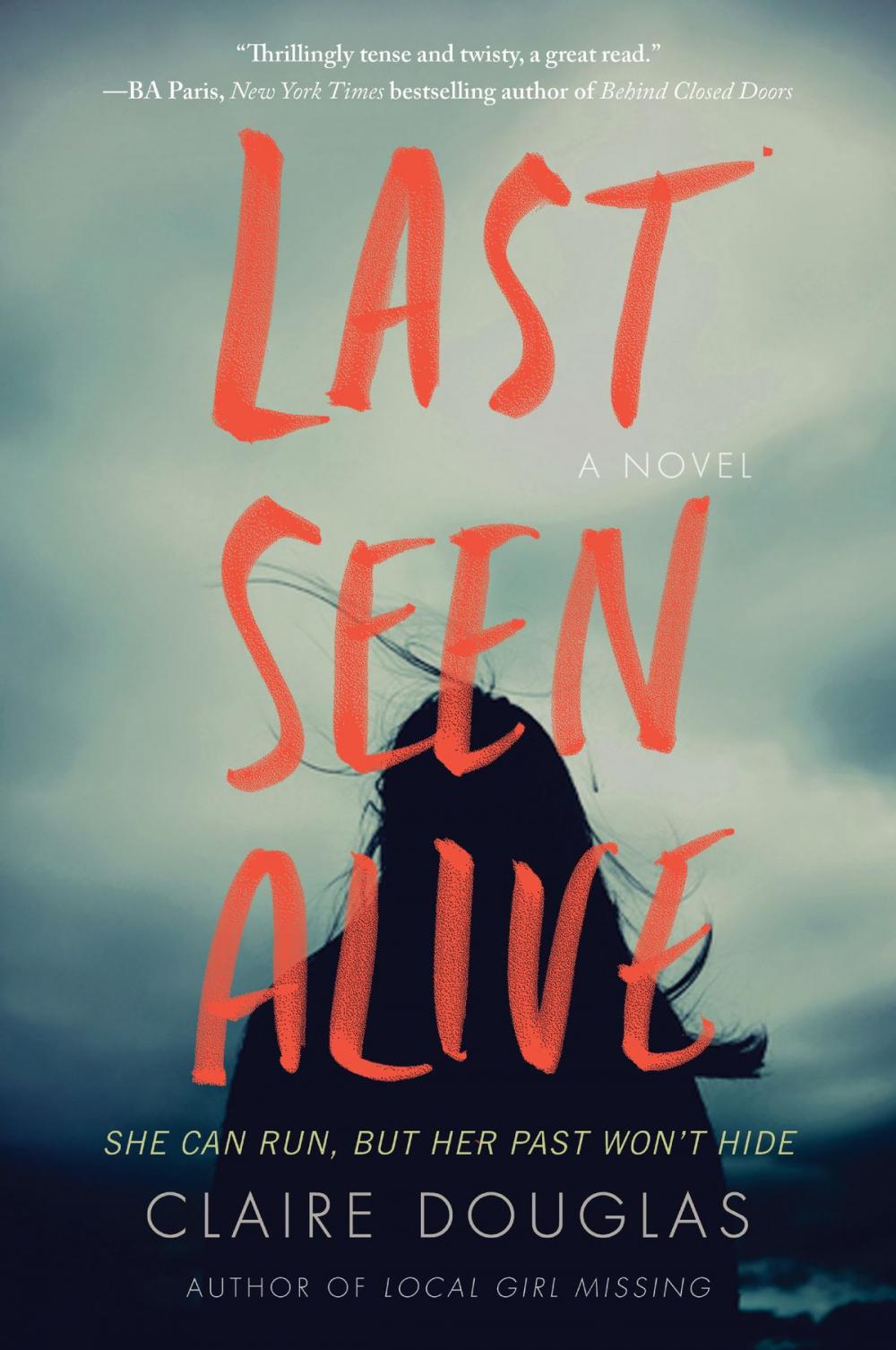 Big bigCover of Last Seen Alive