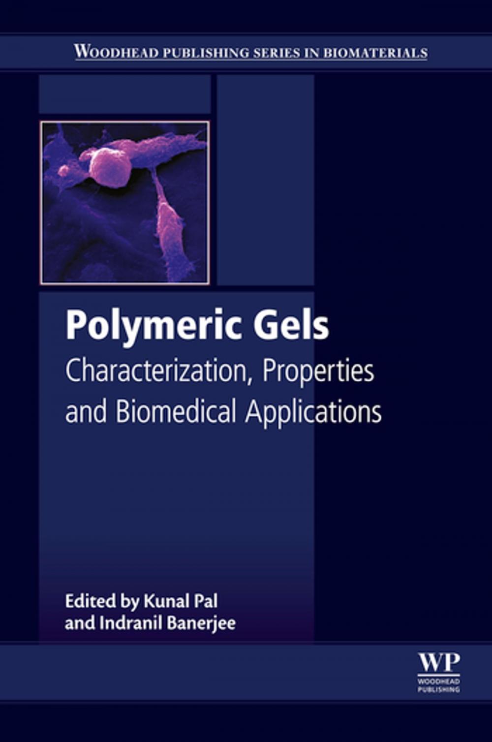 Big bigCover of Polymeric Gels