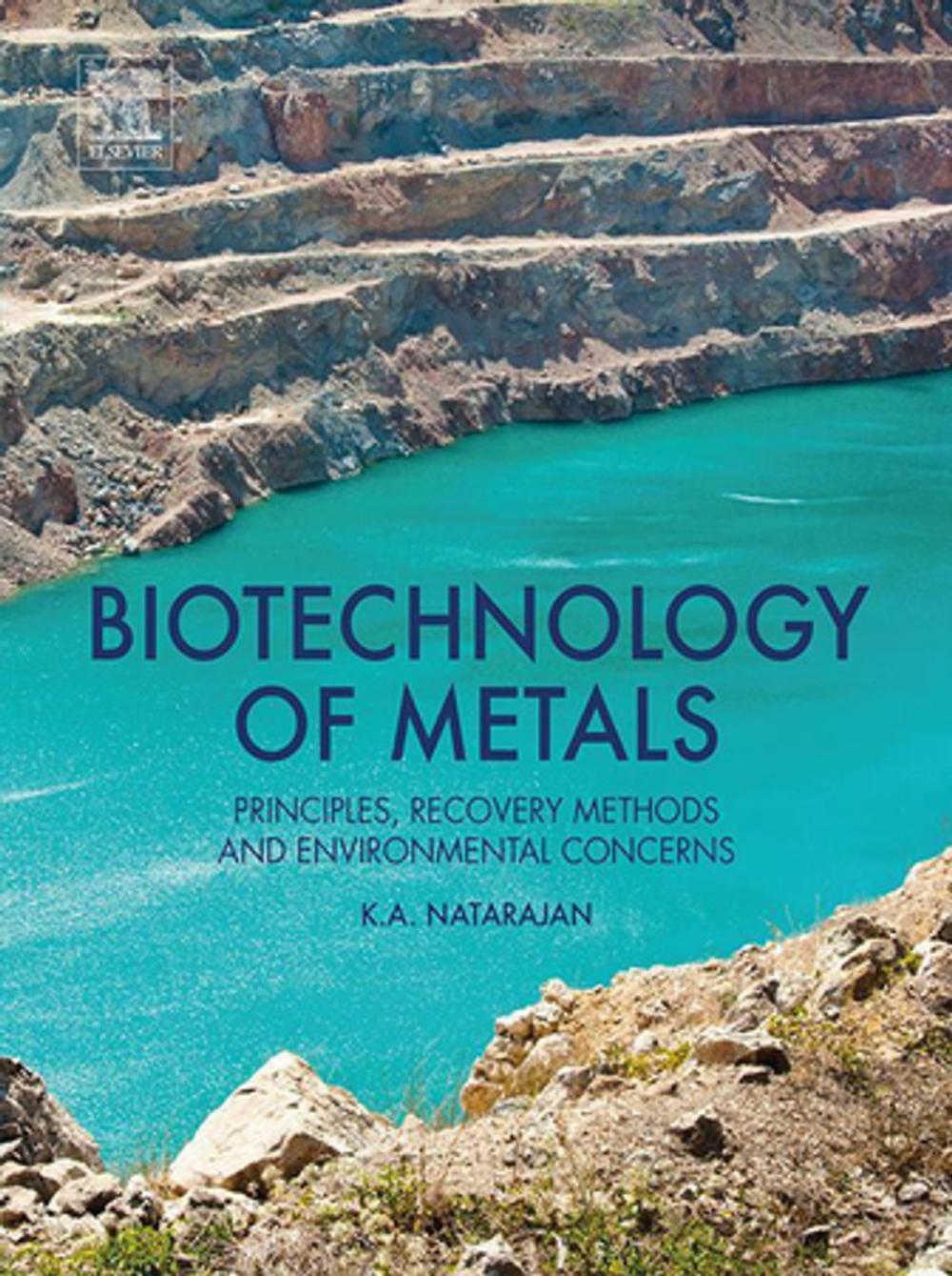 Big bigCover of Biotechnology of Metals