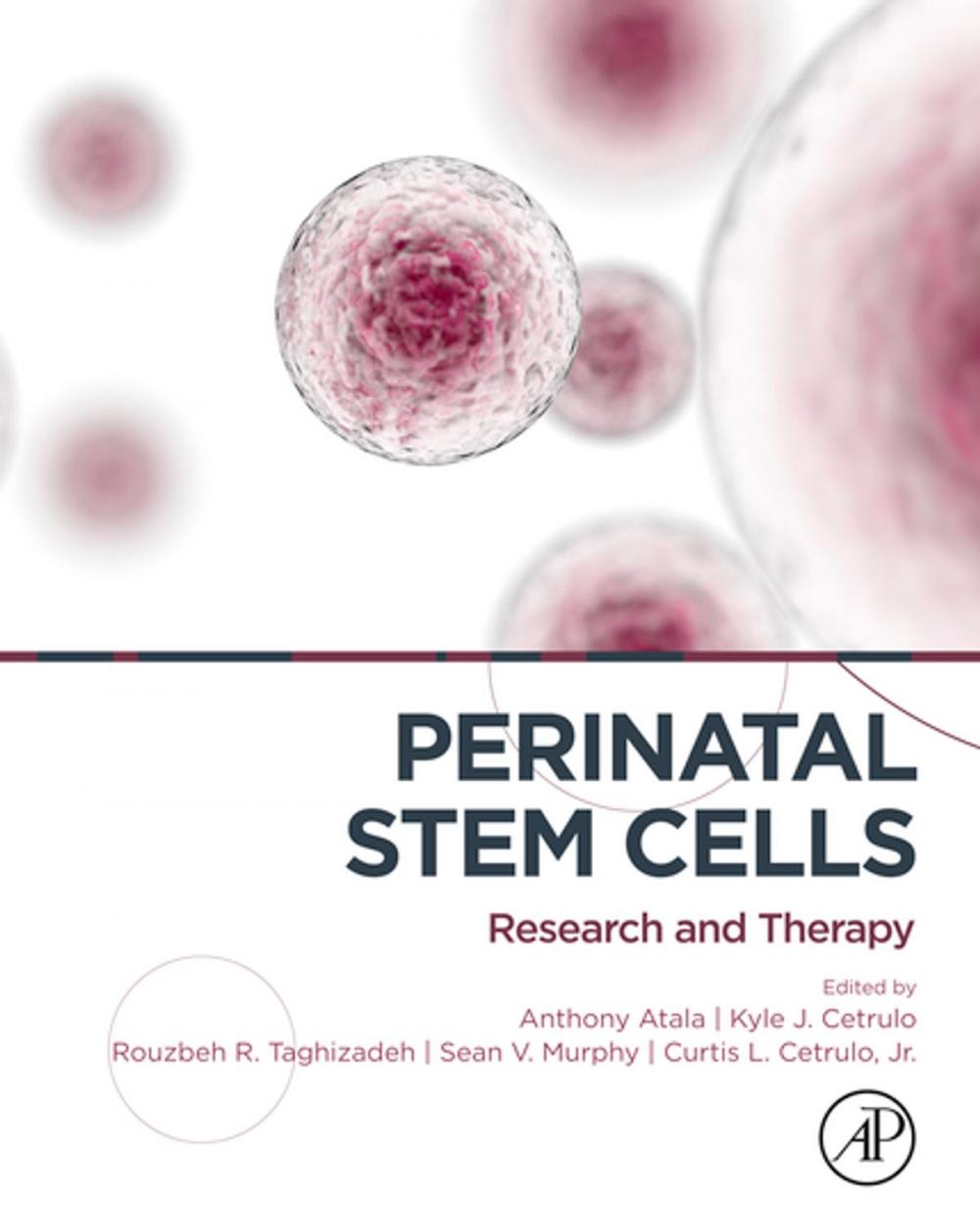 Big bigCover of Perinatal Stem Cells