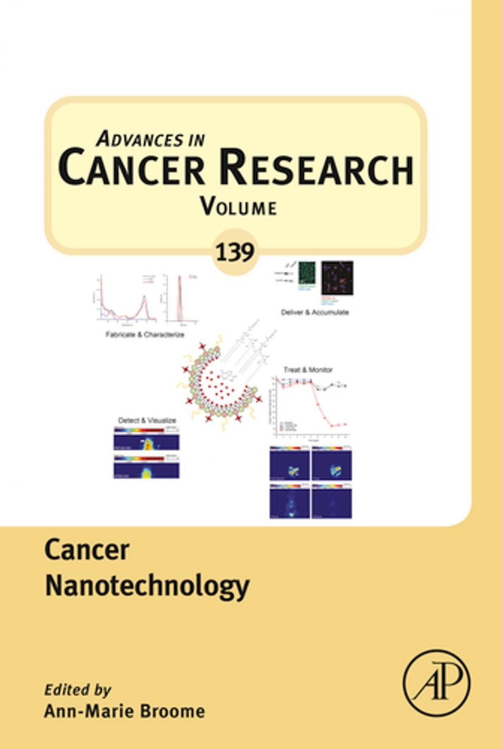 Big bigCover of Cancer Nanotechnology