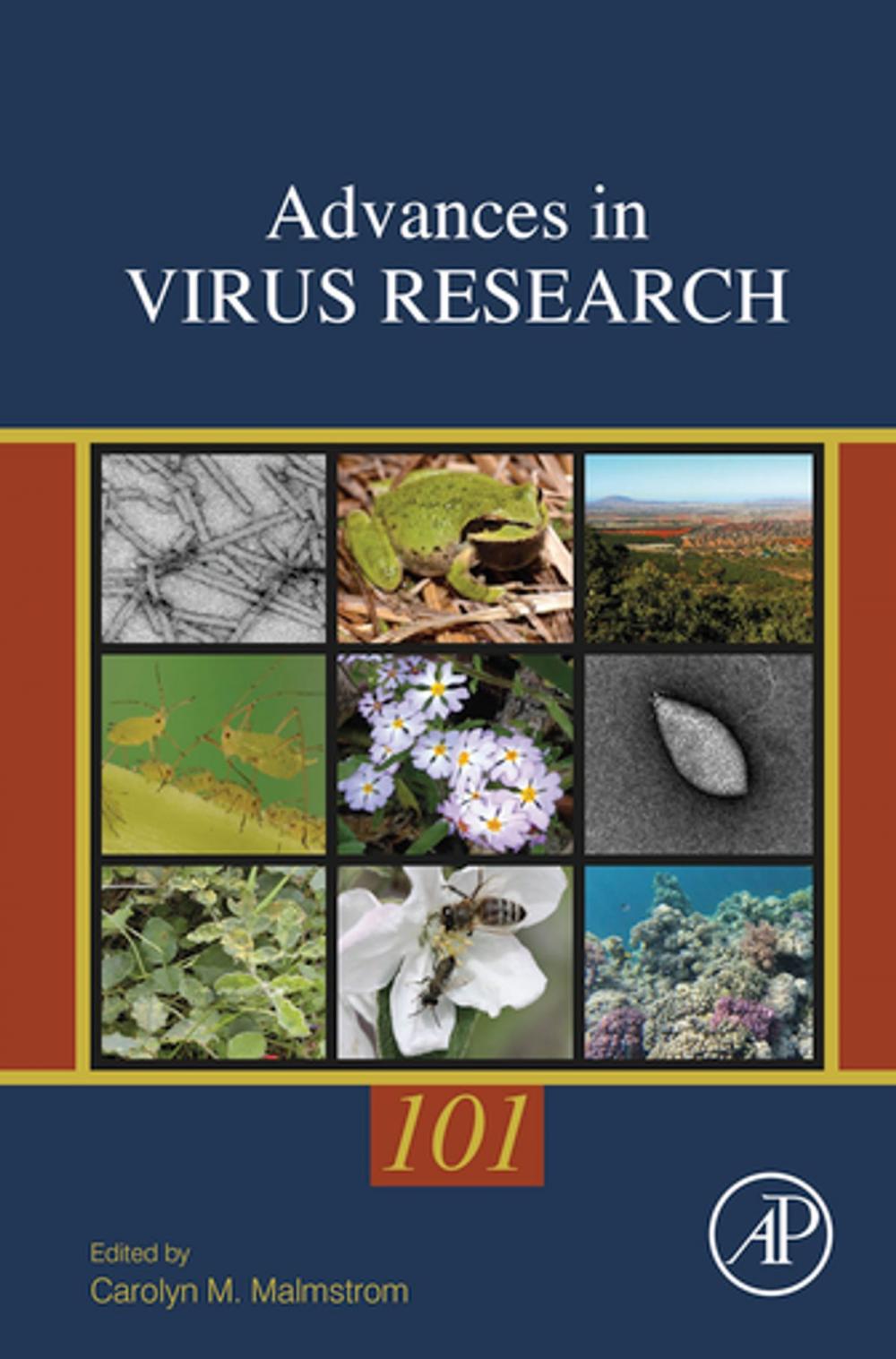 Big bigCover of Environmental Virology and Virus Ecology