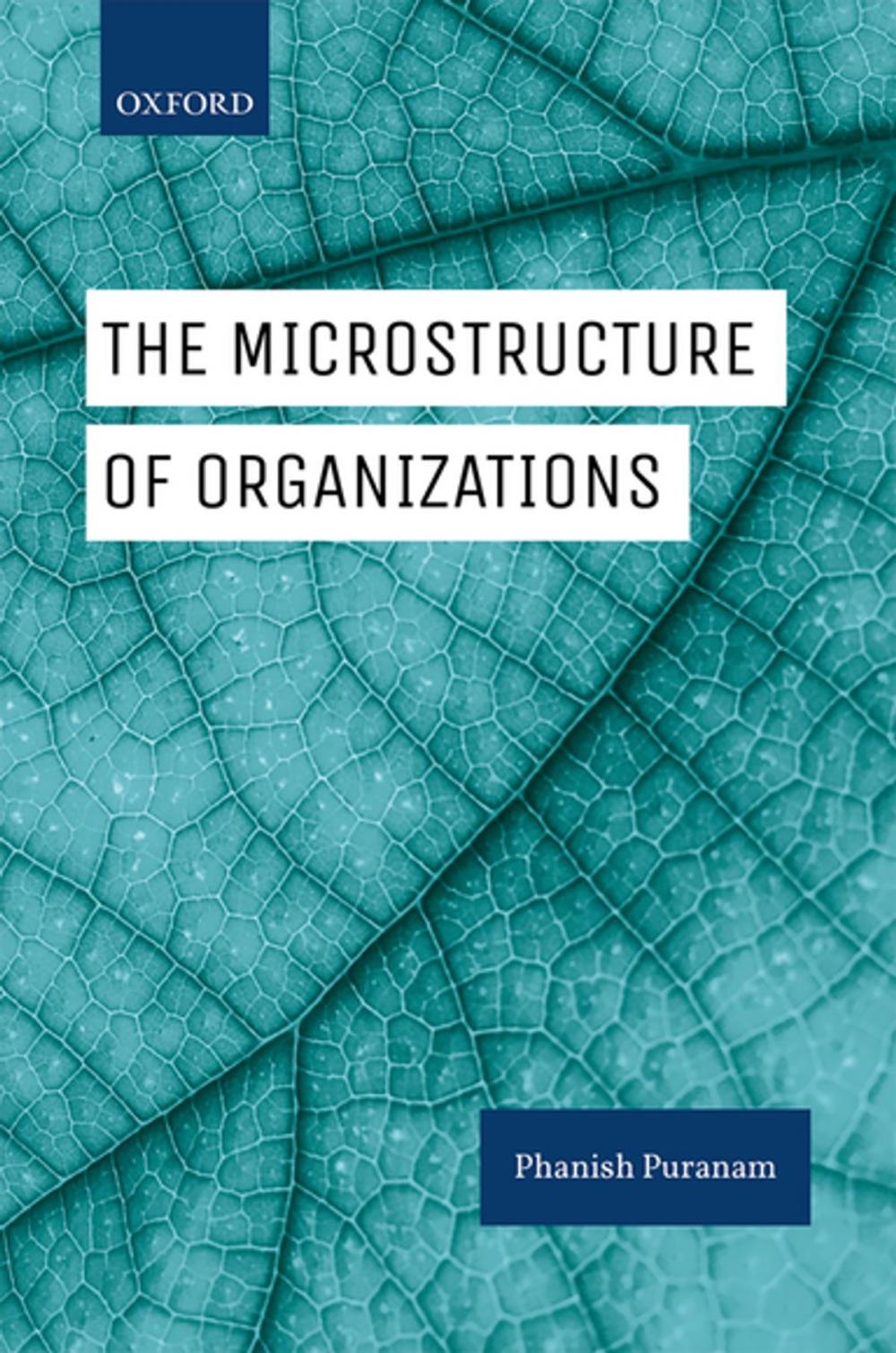 Big bigCover of The Microstructure of Organizations