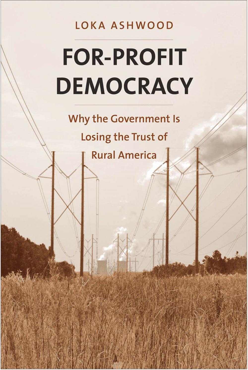 Big bigCover of For-Profit Democracy