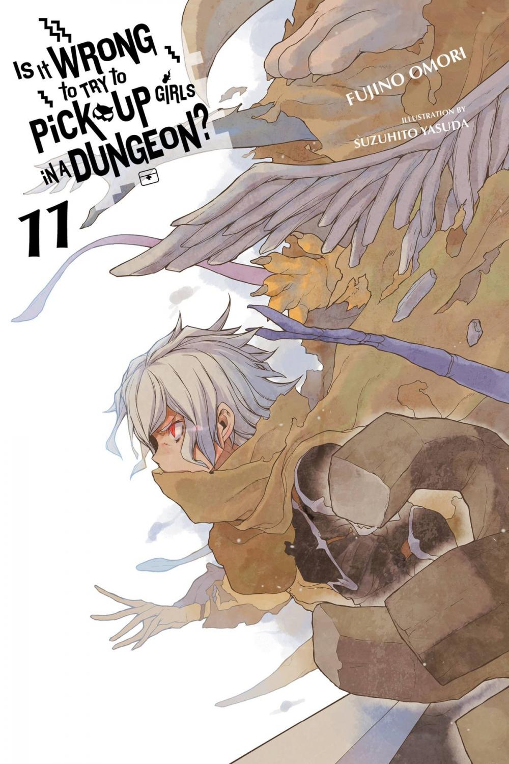 Big bigCover of Is It Wrong to Try to Pick Up Girls in a Dungeon?, Vol. 11 (light novel)