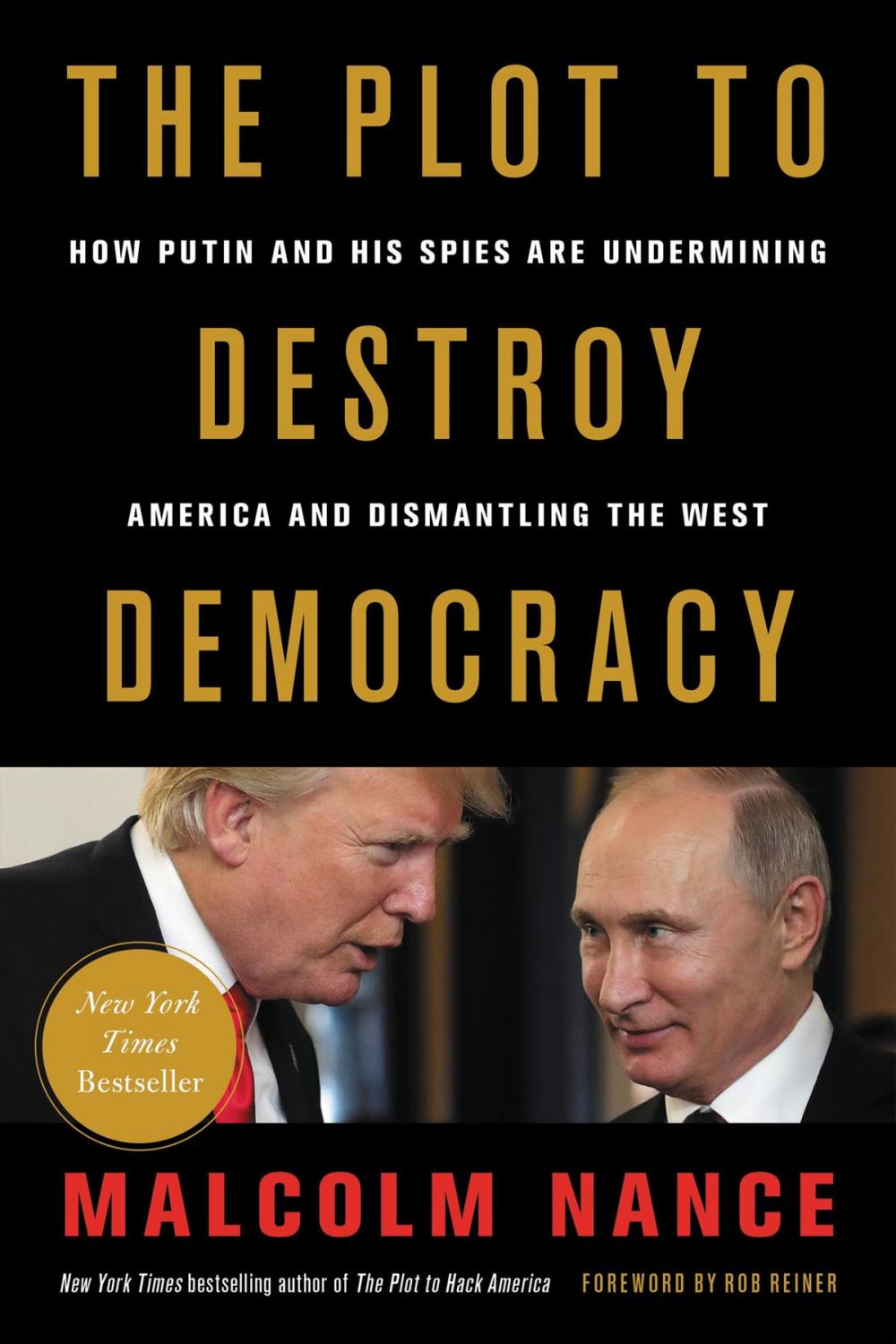 Big bigCover of The Plot to Destroy Democracy