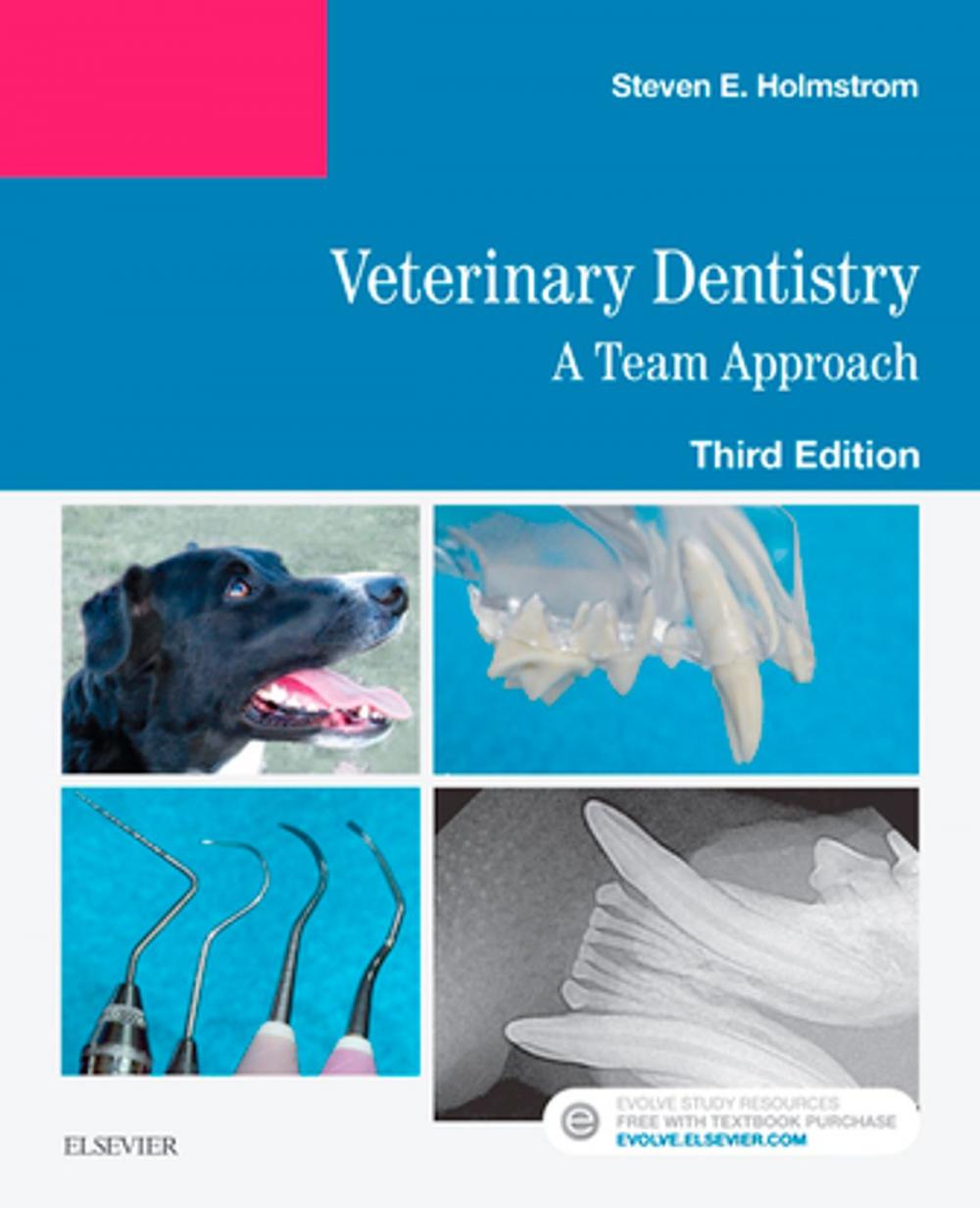 Big bigCover of Veterinary Dentistry: A Team Approach E-Book