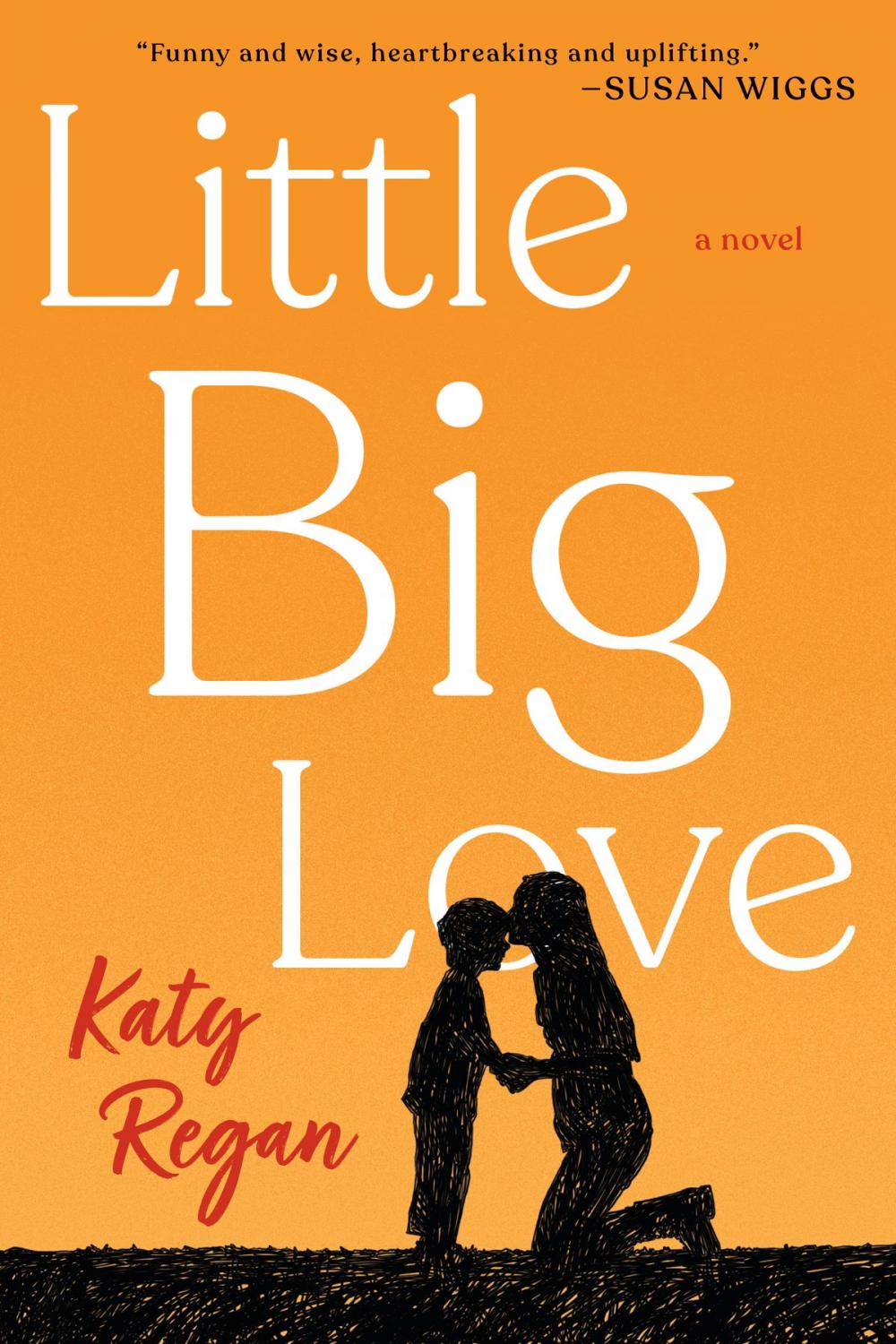 Big bigCover of Little Big Love