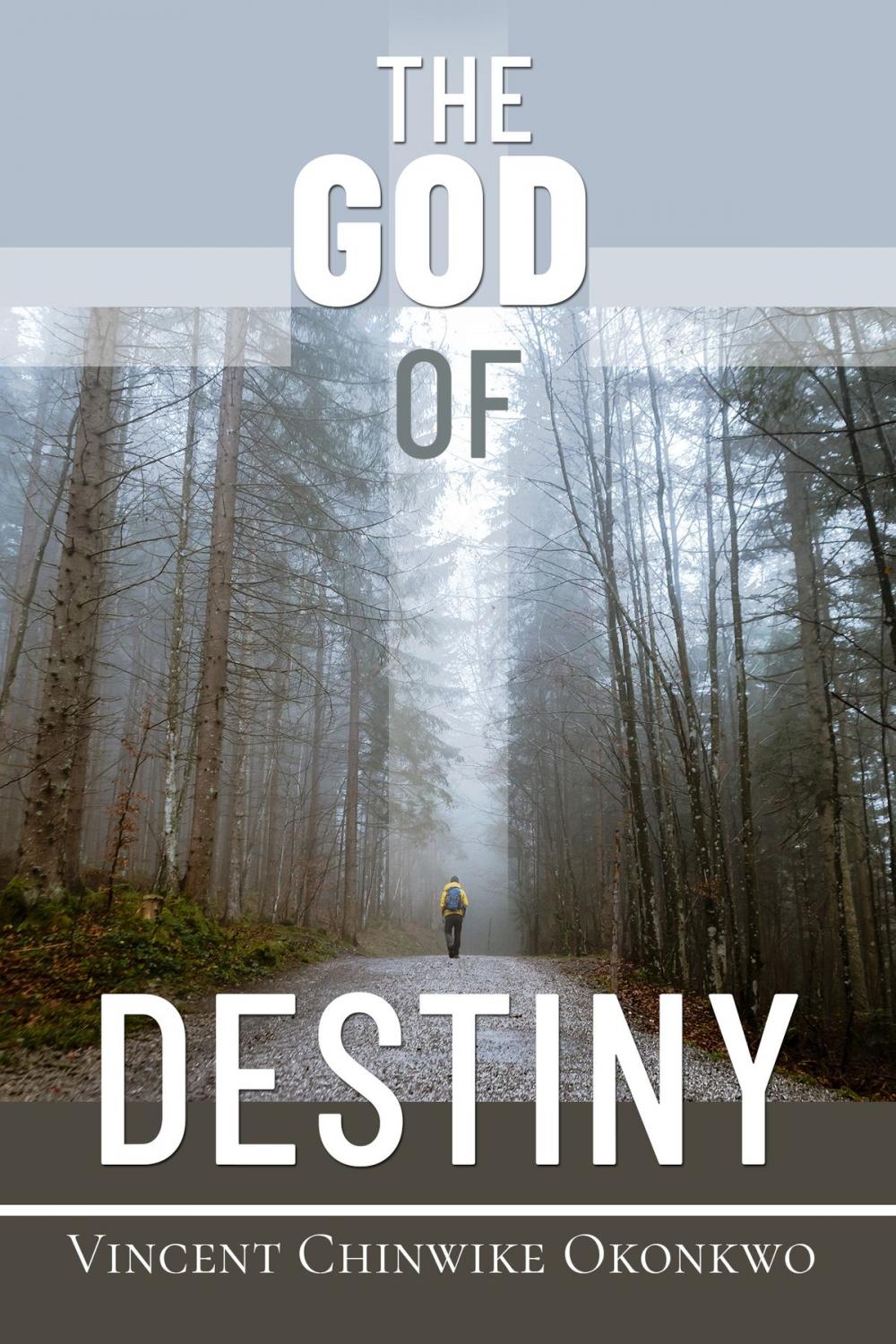 Big bigCover of The God of Destiny