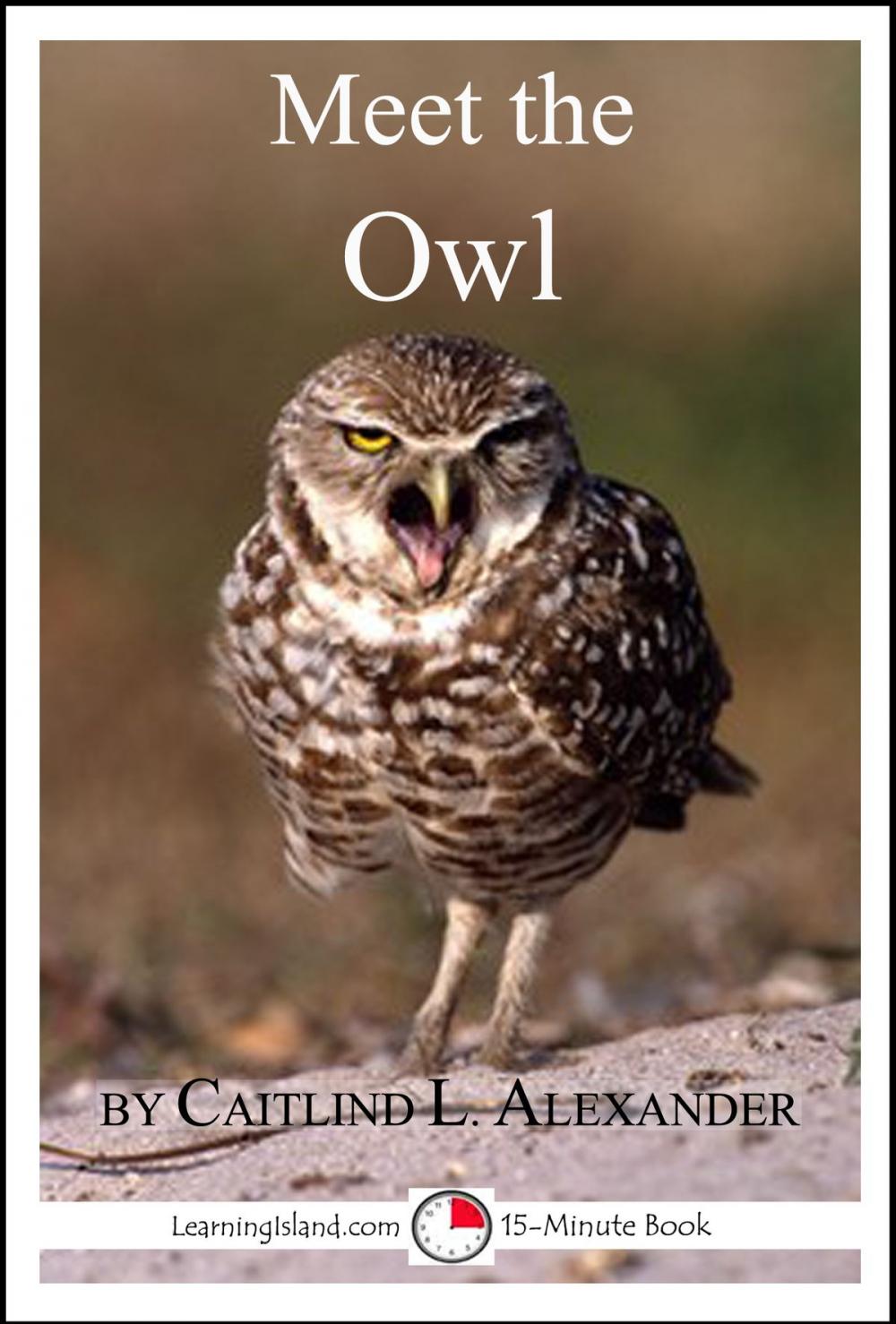 Big bigCover of Meet the Owl