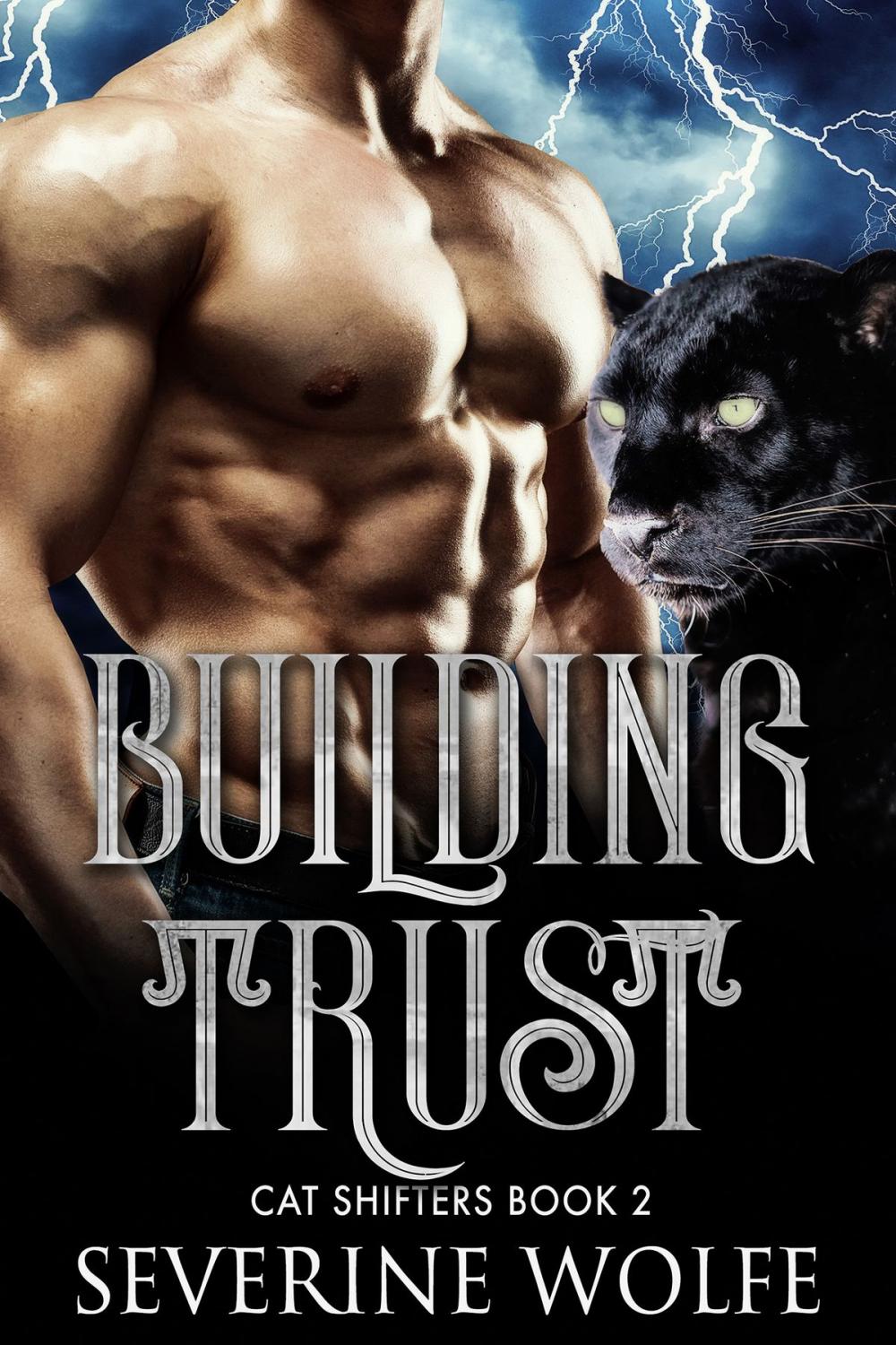 Big bigCover of Building Trust