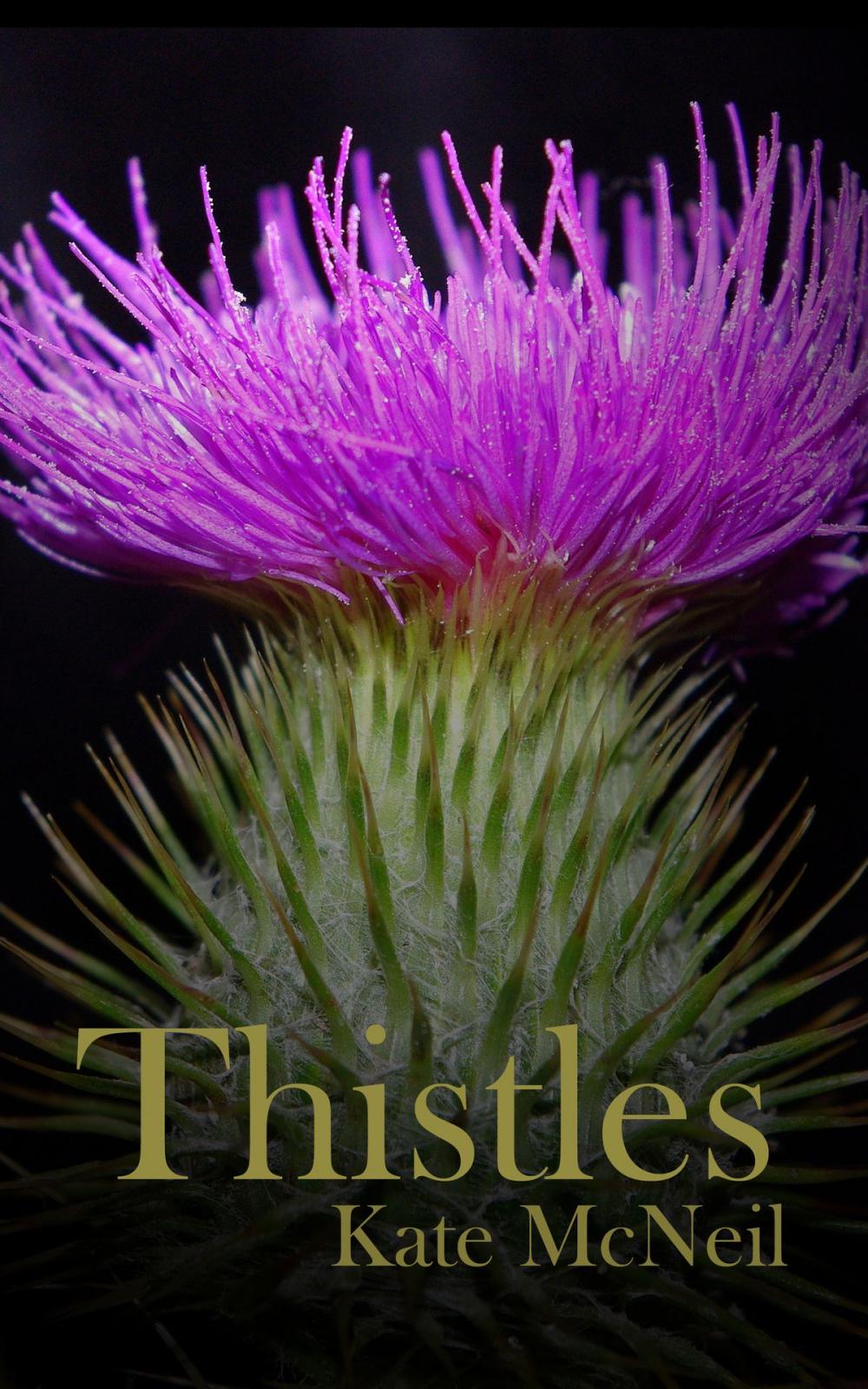 Big bigCover of Thistles