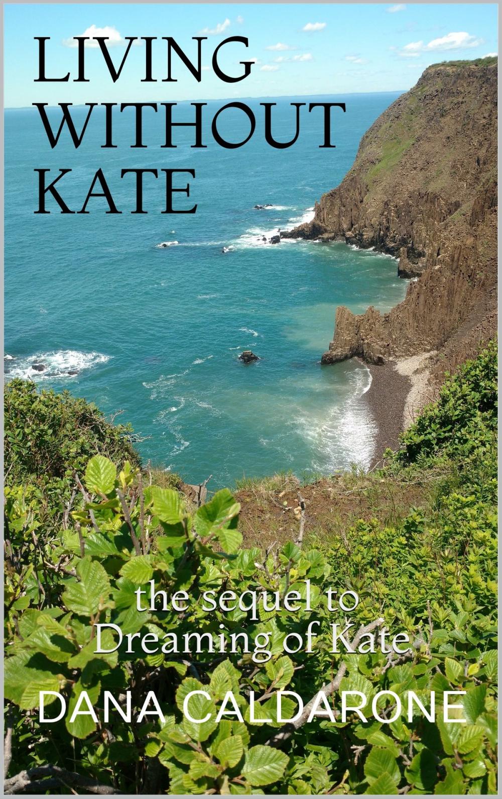 Big bigCover of Living Without Kate: The Sequel To Dreaming of Kate