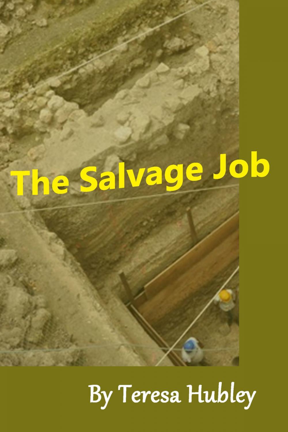 Big bigCover of The Salvage Job